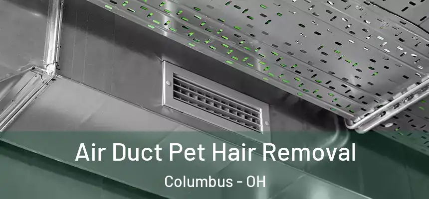  Air Duct Pet Hair Removal Columbus - OH
