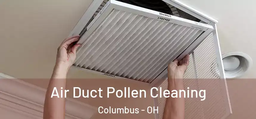 Air Duct Pollen Cleaning Columbus - OH