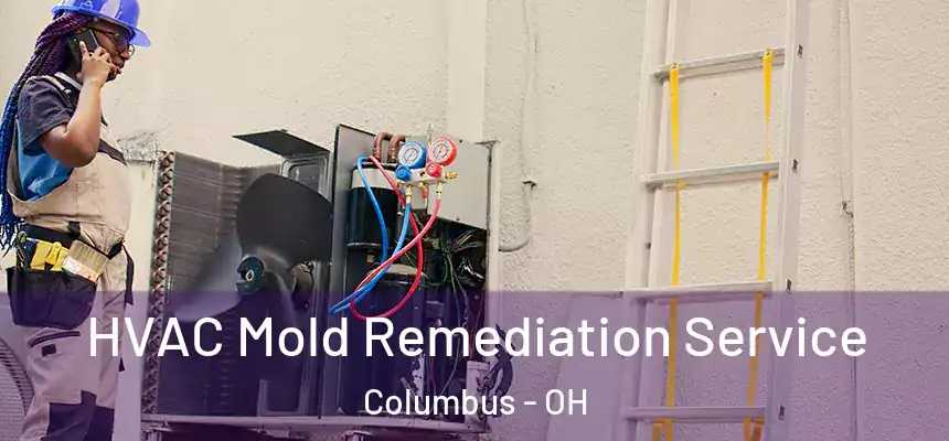 HVAC Mold Remediation Service Columbus - OH