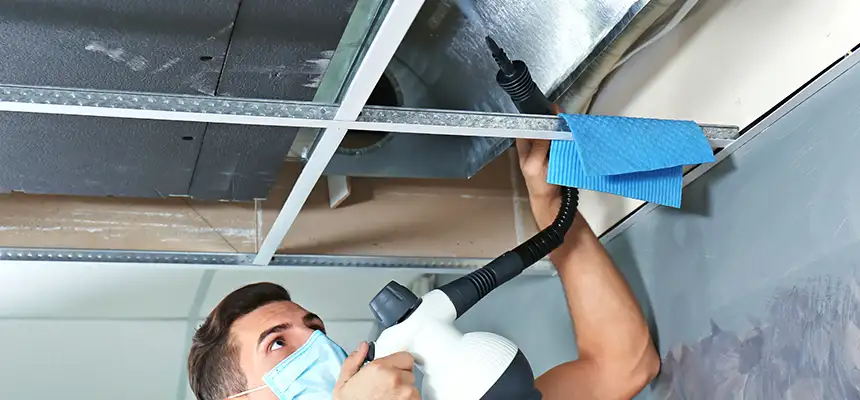 Our Air Duct Rodent Removal Services in Columbus, OH
