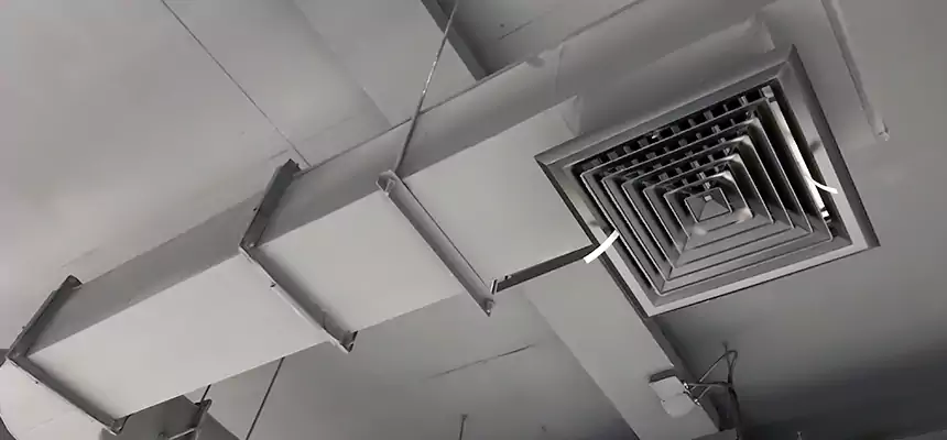 Our Pest Removal From Ducts Services in Columbus, OH