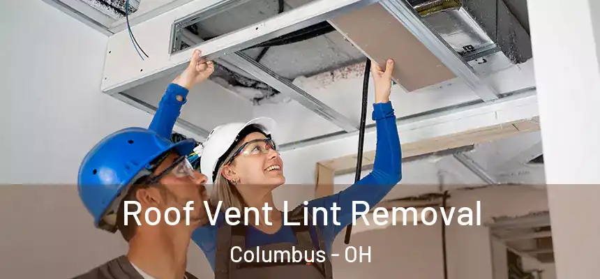 Roof Vent Lint Removal Columbus - OH