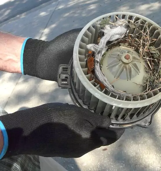 About Air Duct Mice Removal in Columbus, OH