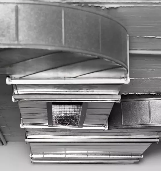 Professional Air Duct Pet Hair Removal in Columbus, OH