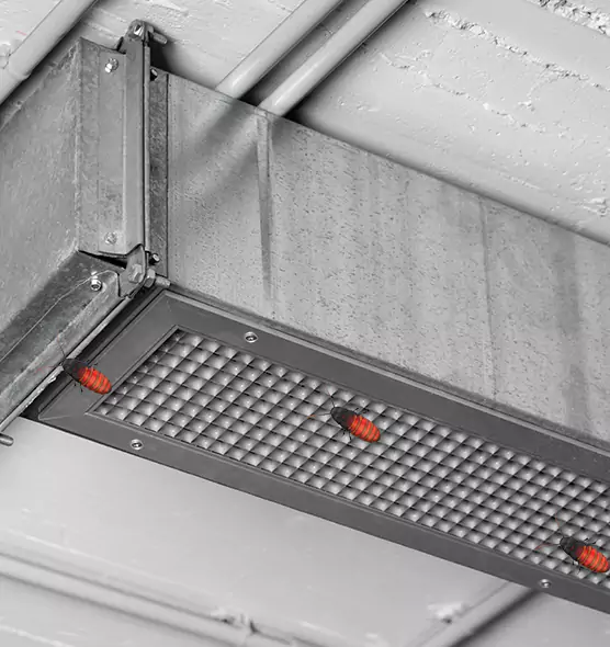 Affordable Insect Removal from Air Ducts in Columbus, OH